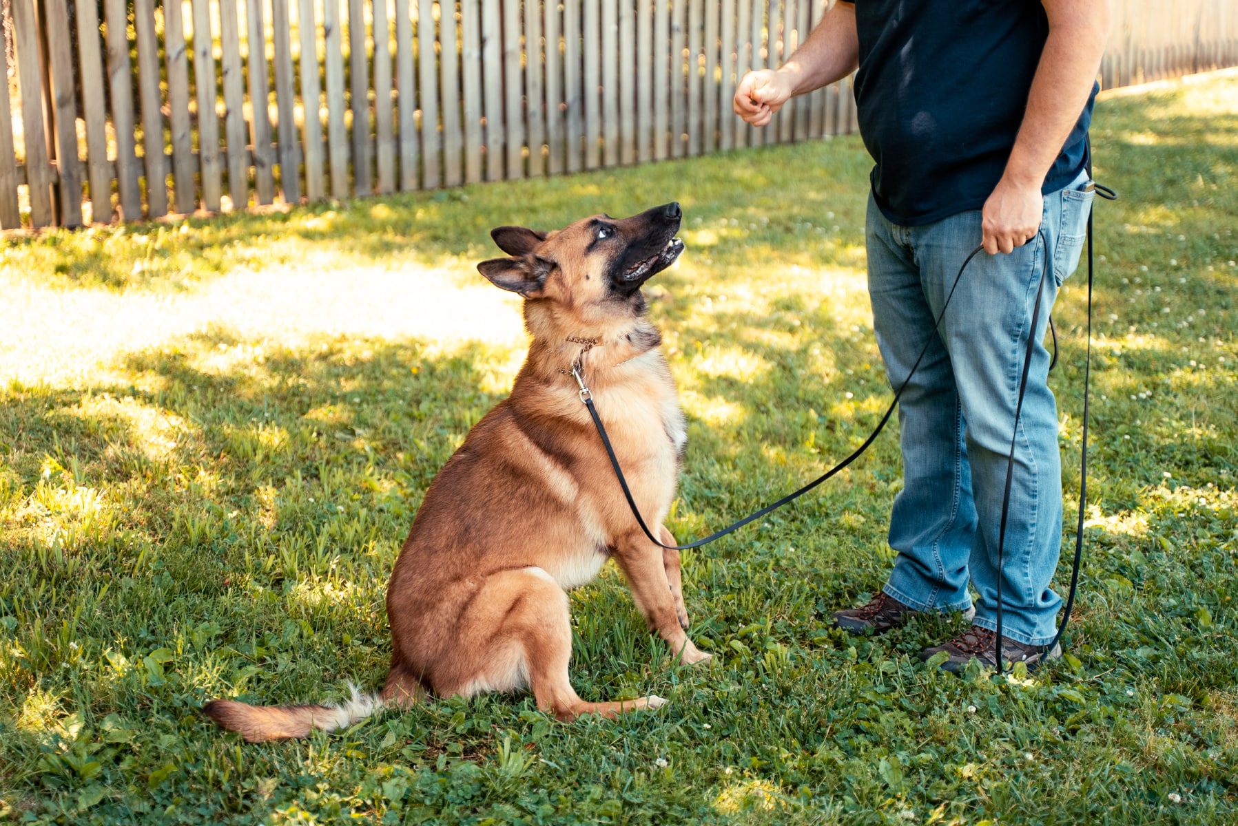 Home - Next Level Kennels 